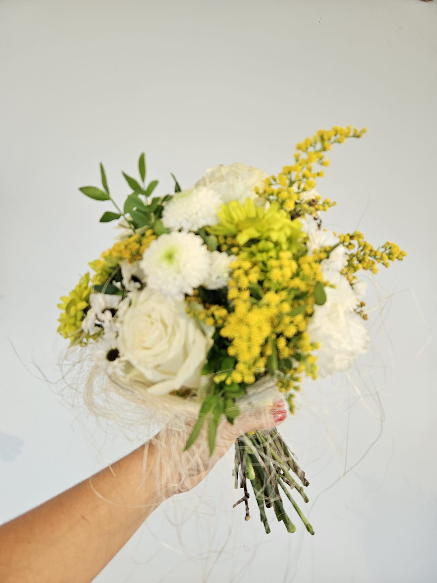 IMG-20251121-WA0081