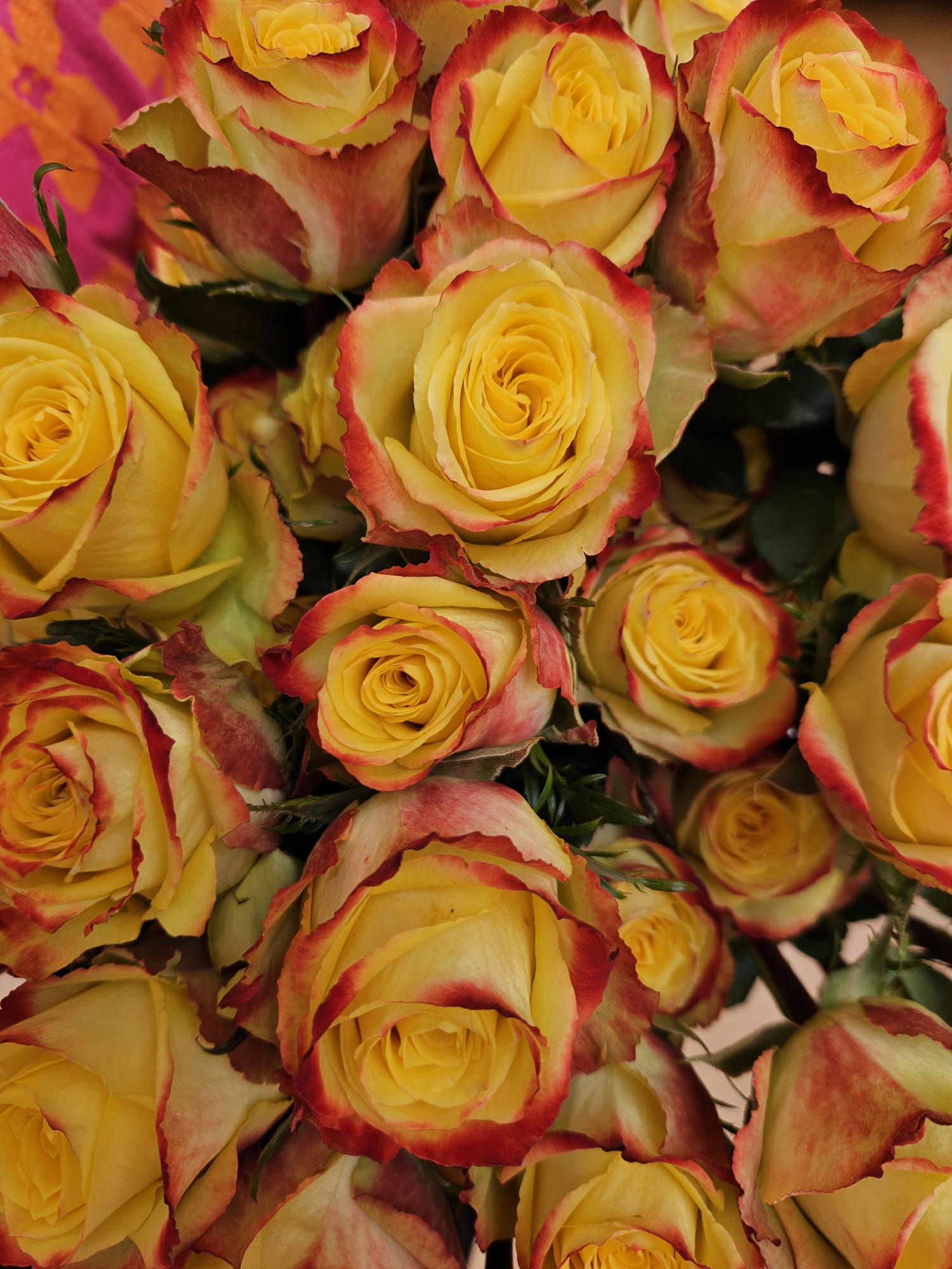 IMG-20251121-WA0116
